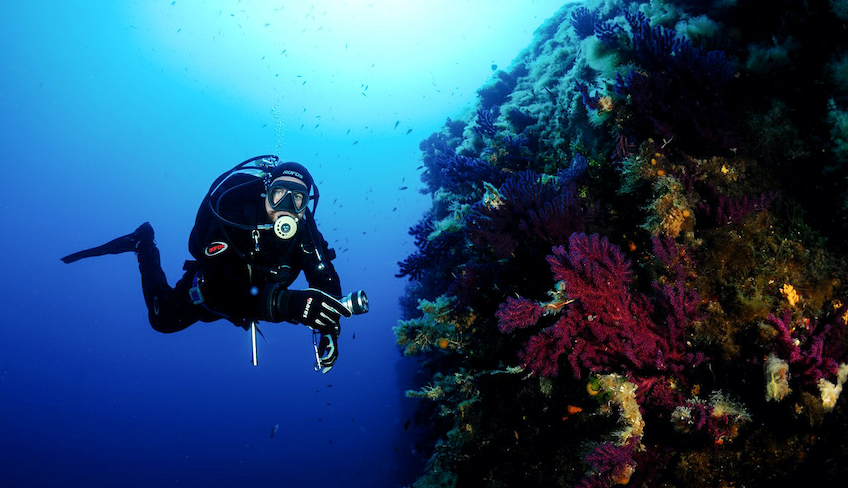 Sicily: diving